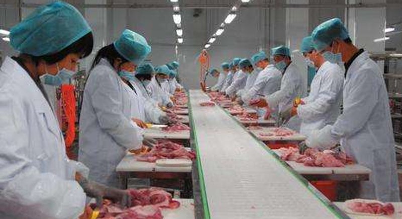 在当今互联网时代，拥有一个专业的食品公司网站变得尤为重要。